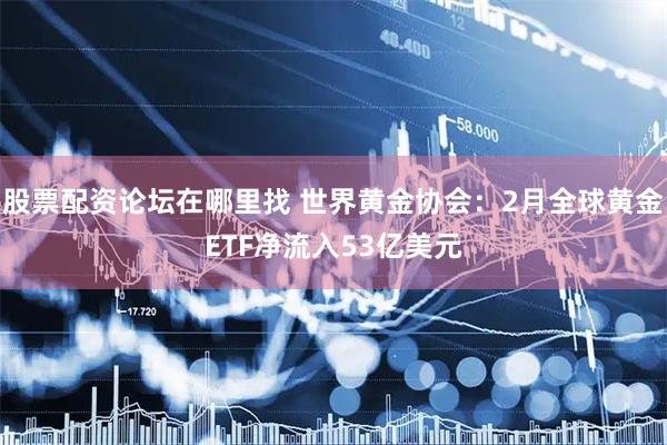 股票配资论坛在哪里找 世界黄金协会：2月全球黄金ETF净流入53亿美元