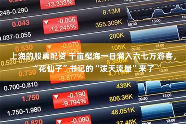 上海的股票配资 千亩樱海一日涌入六七万游客，“花仙子”书记的“泼天流量”来了